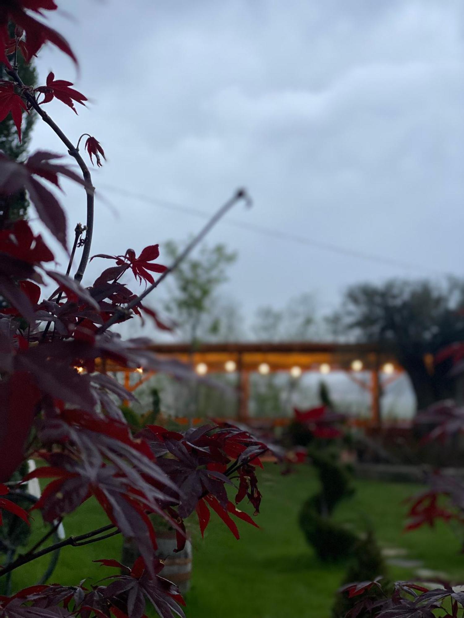 Hotel Restaurant Natyra E Qete Lezhë المظهر الخارجي الصورة